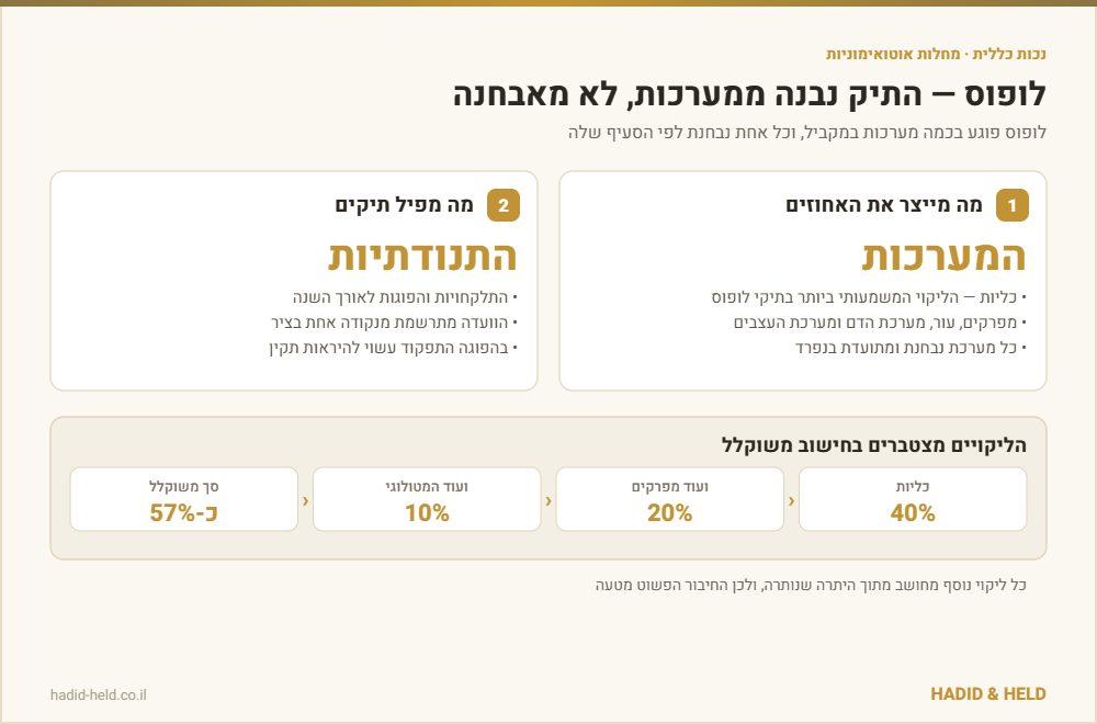 תביעת נכות כללית בגין לופוס: המערכות שמייצרות את האחוזים מול התנודתיות שמפילה תיקים, והמחשה לחישוב משוקלל שבו 40% כליות, 20% מפרקים ו-10% המטולוגי מגיעים לכ-57%
